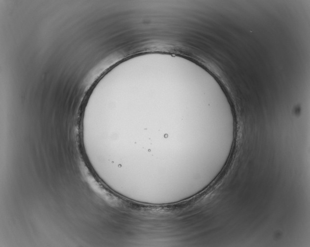 X0000116351042200912221458