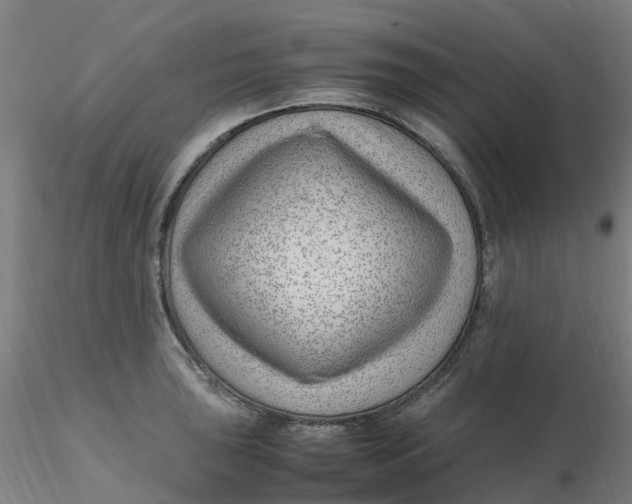 X0000116351043200912221458