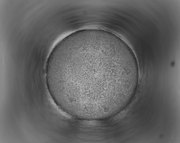 X0000116351045200912221458