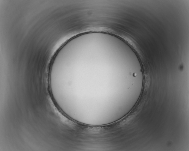 X0000116351046200912221458