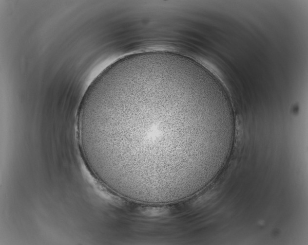 X0000116351047200912221458