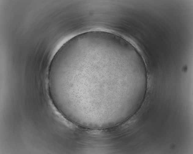 X0000116351048200912221458