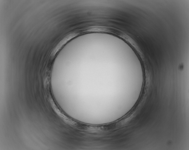 X0000116351049200912221458