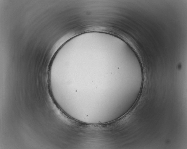 X0000116351050200912221458