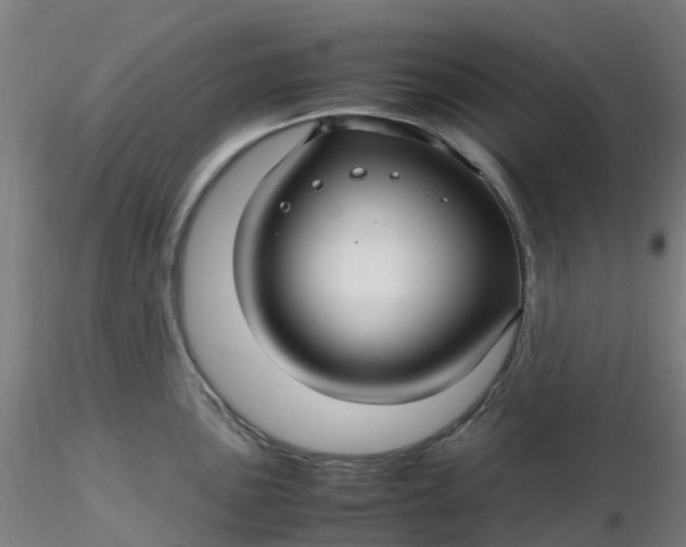 X0000116351051200912221458