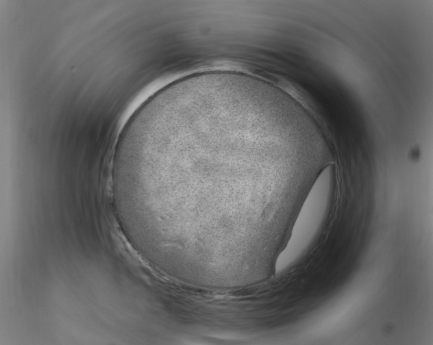 X0000116351052200912221458