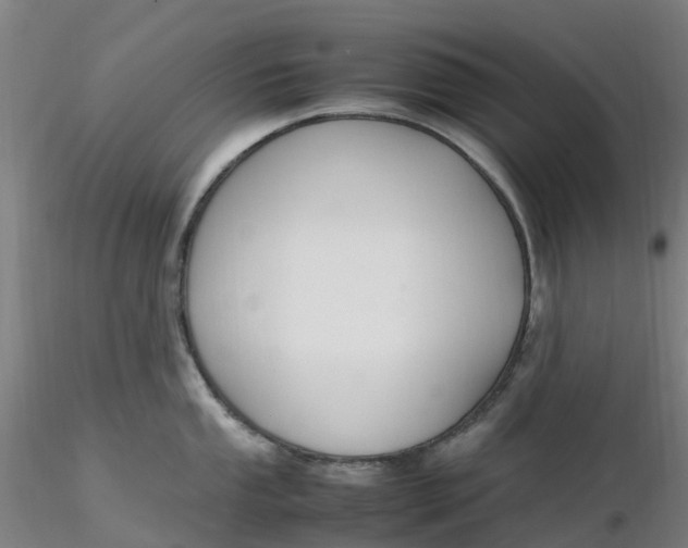 X0000116351053200912221458