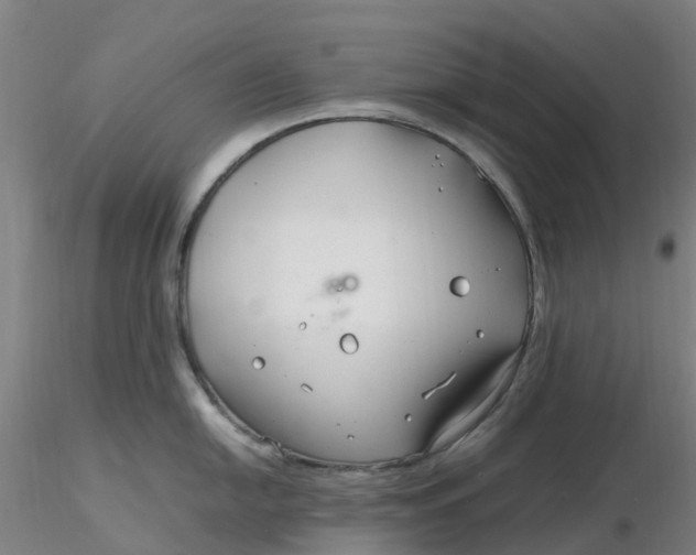 X0000116351054200912221458