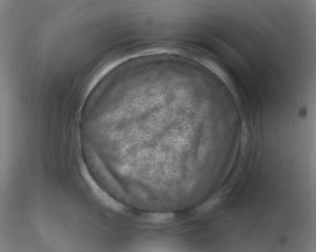 X0000116351055200912221458