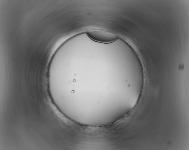 X0000116351056200912221458