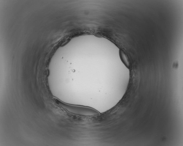 X0000116351057200912221457