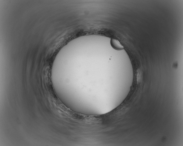 X0000116351059200912221457