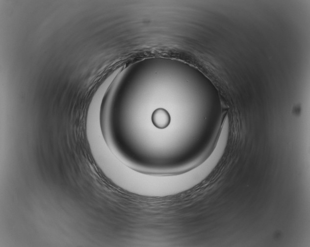 X0000116351060200912221457