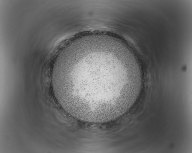 X0000116351063200912221457