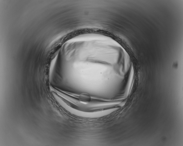 X0000116351064200912221457