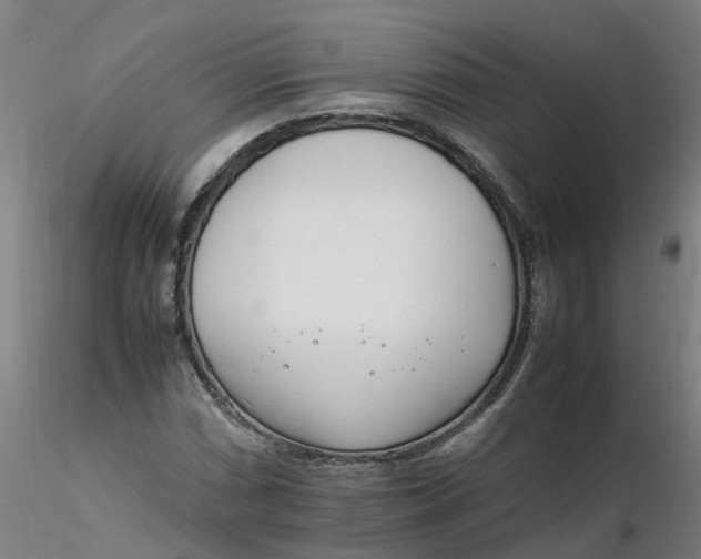 X0000116351066200912221457