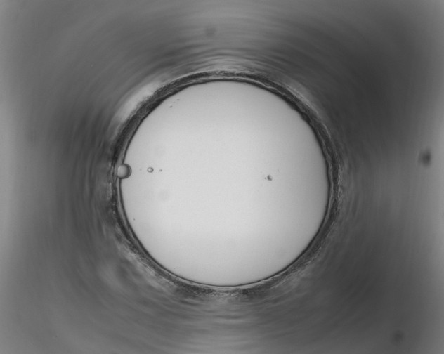 X0000116351067200912221457