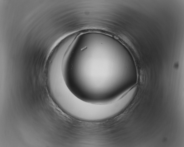 X0000116351068200912221457