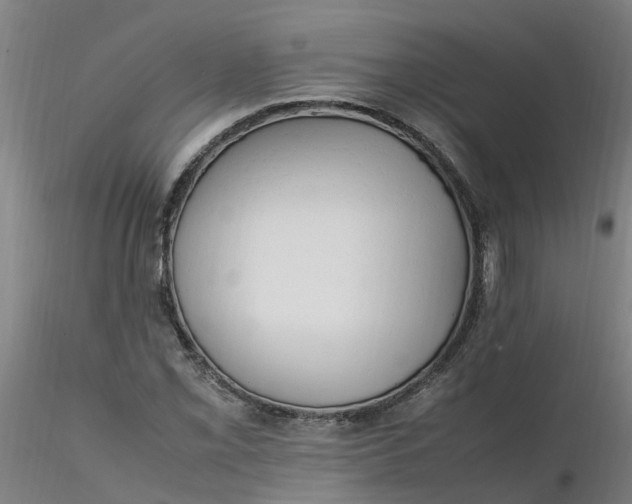 X0000116351069200912221457