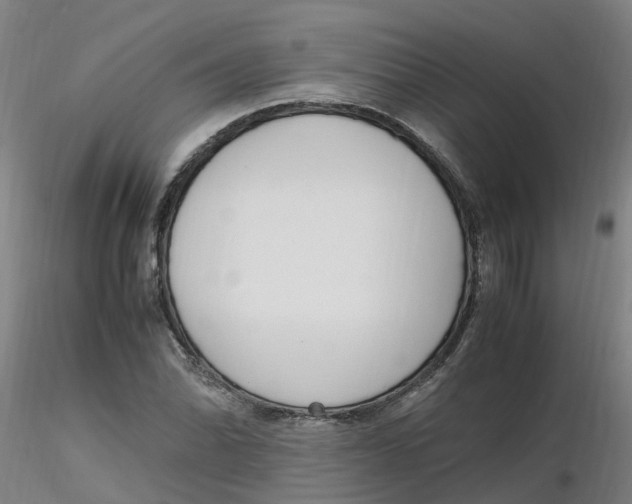 X0000116351070200912221457