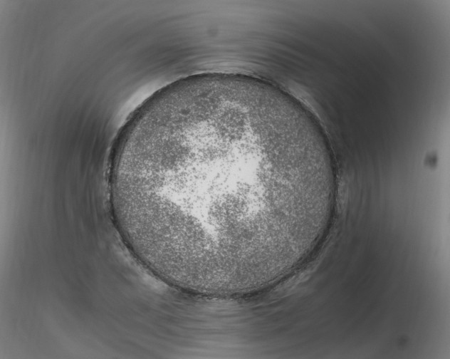 X0000116351071200912221457