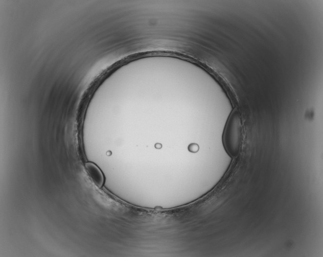 X0000116351072200912221457