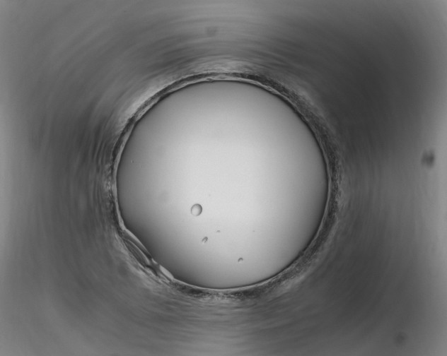 X0000116351073200912221457