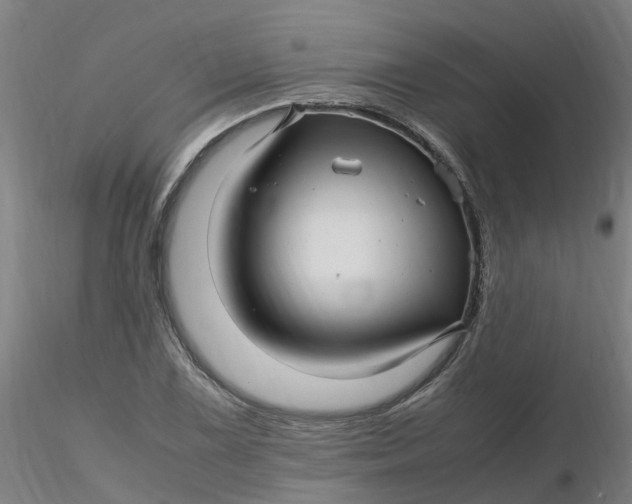 X0000116351075200912221457