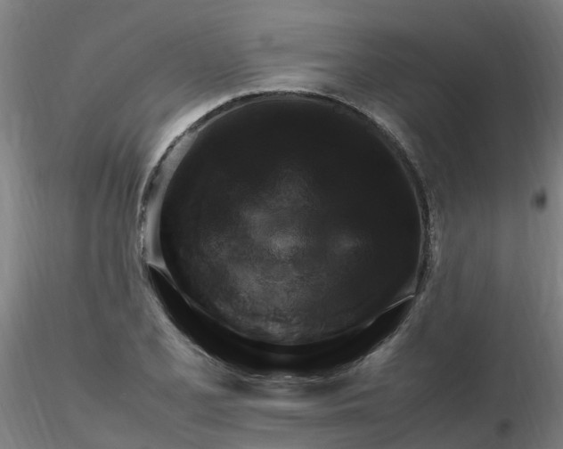 X0000116351077200912221457