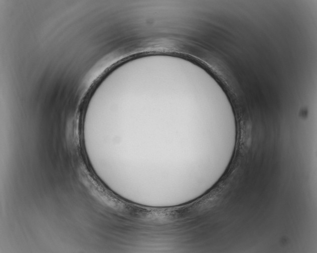 X0000116351078200912221457