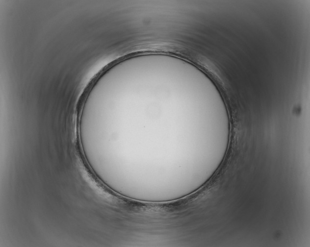 X0000116351079200912221457