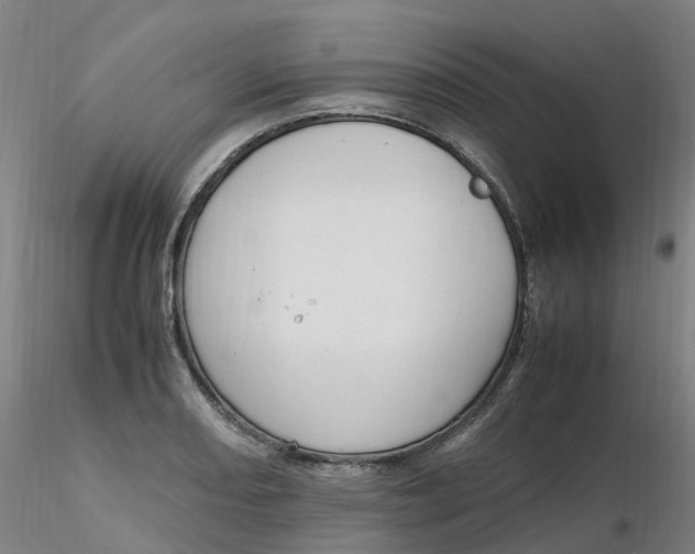 X0000116351082200912221457