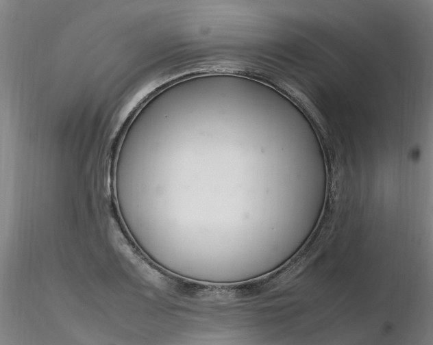 X0000116351083200912221457