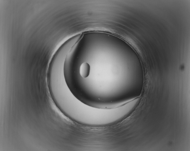 X0000116351084200912221457