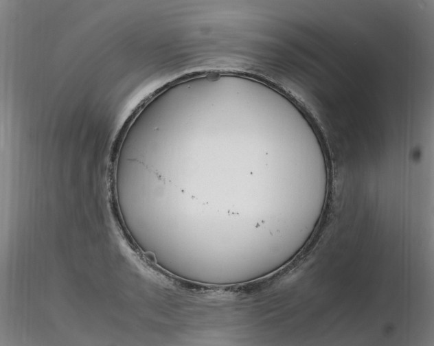 X0000116351085200912221457