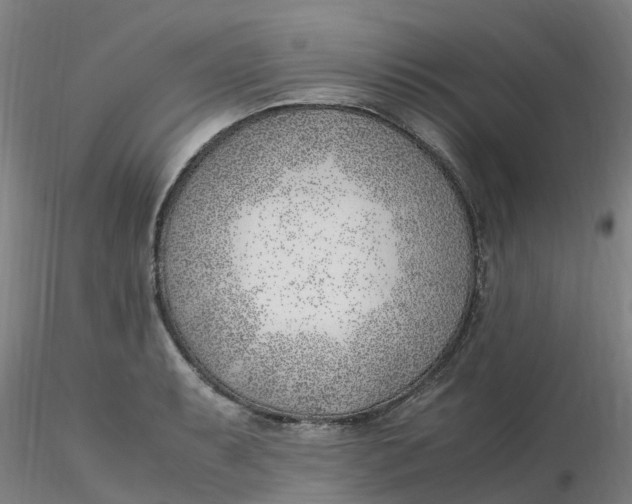 X0000116351087200912221457