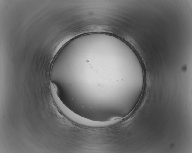 X0000116351089200912221457