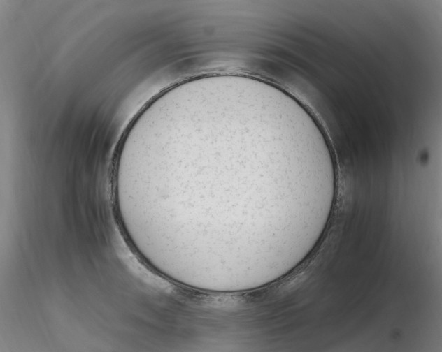 X0000116351090200912221457