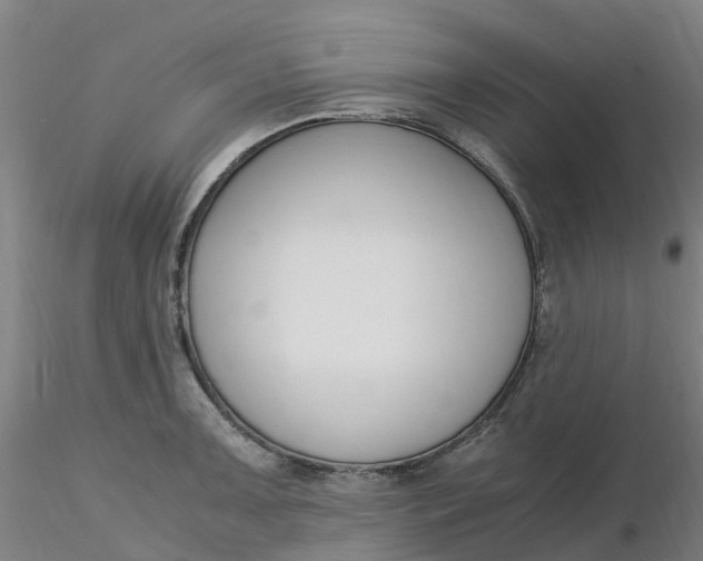 X0000116351091200912221457