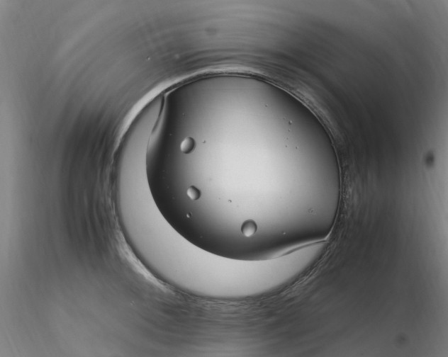 X0000116351092200912221457