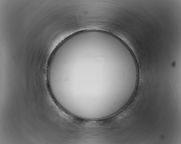 X0000116351093200912221457