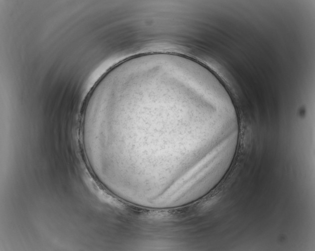 X0000116351094200912221457