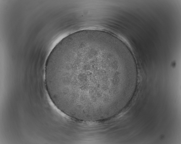 X0000116351095200912221457