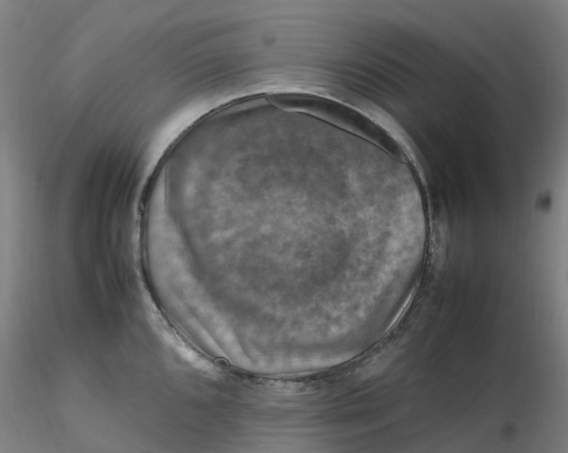 X0000116351096200912221457