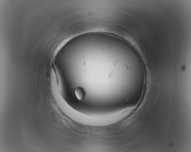 X0000116351097200912221457