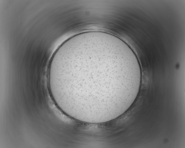 X0000116351098200912221457