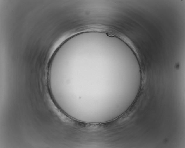 X0000116351099200912221457