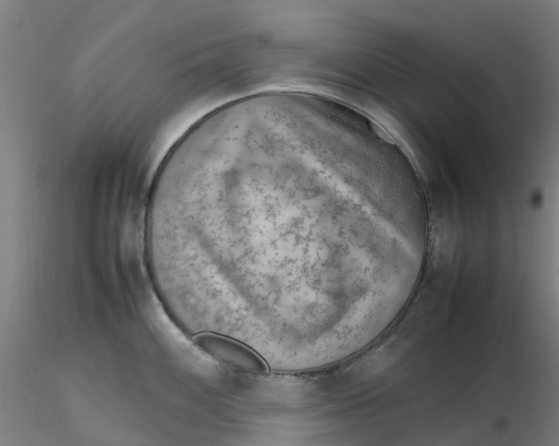 X0000116351100200912221457