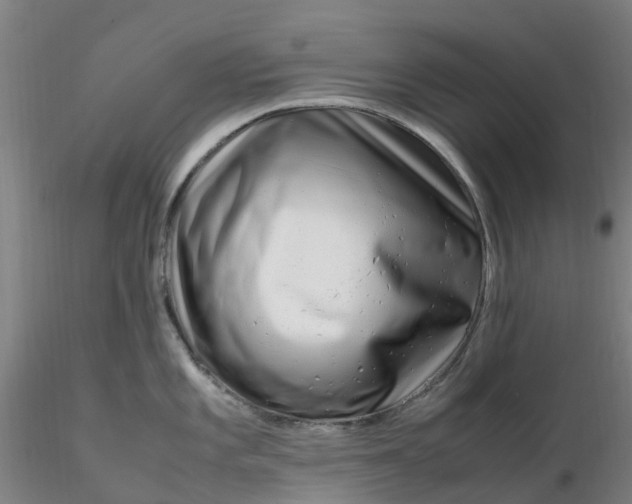 X0000116351101200912221457