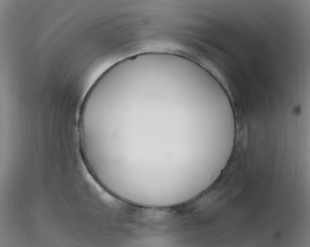 X0000116351103200912221457